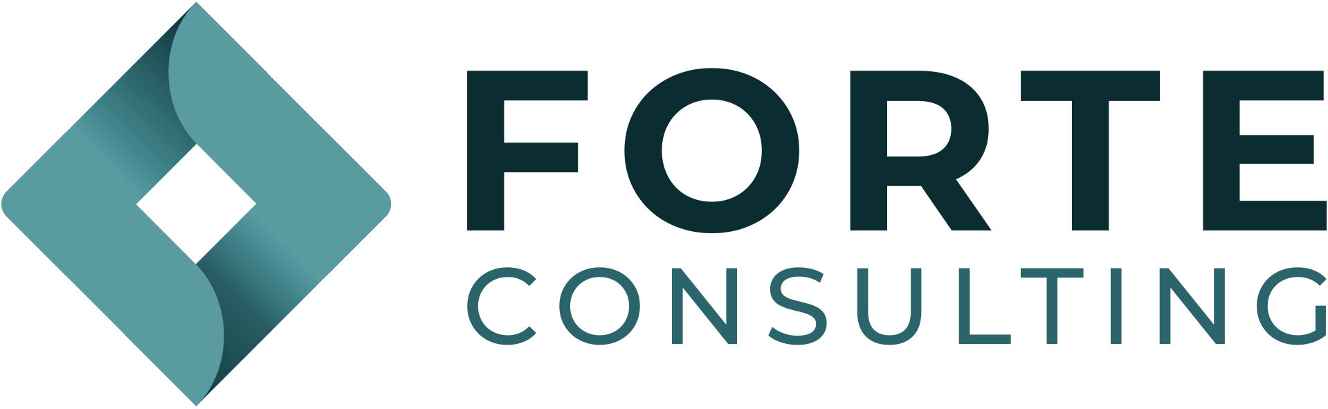 Forte Consulting
